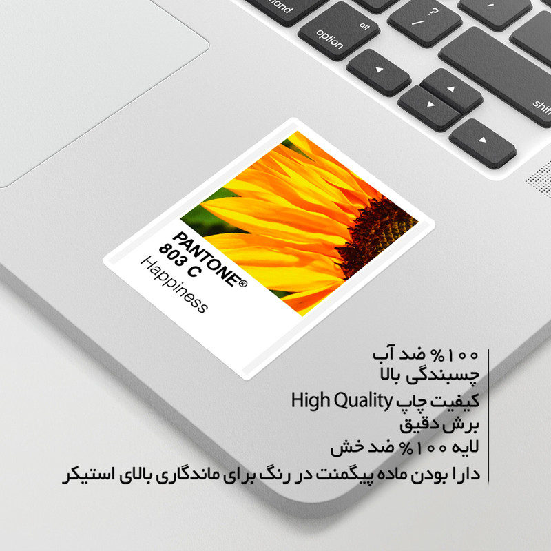 استیکر لپ تاپ ماسا دیزاین طرح pantone مدل venus561