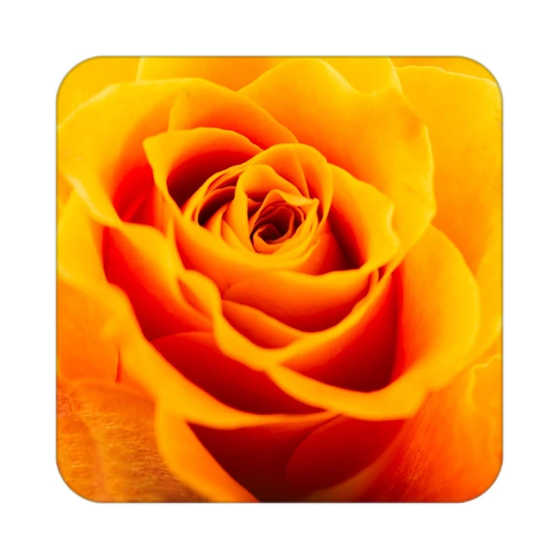 زیر لیوانی کاکتی طرح گل مدل mp17789