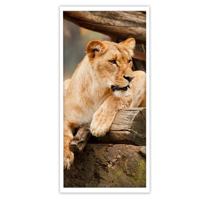 تابلو بکلیت طرح حیات وحش شیر ماده مدل W-S3024