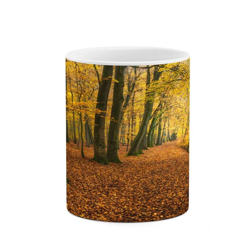 ماگ کاکتی مدل منظره کد mgh15610