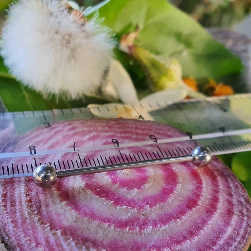 پیرسینگ پایتخت مدل PS328