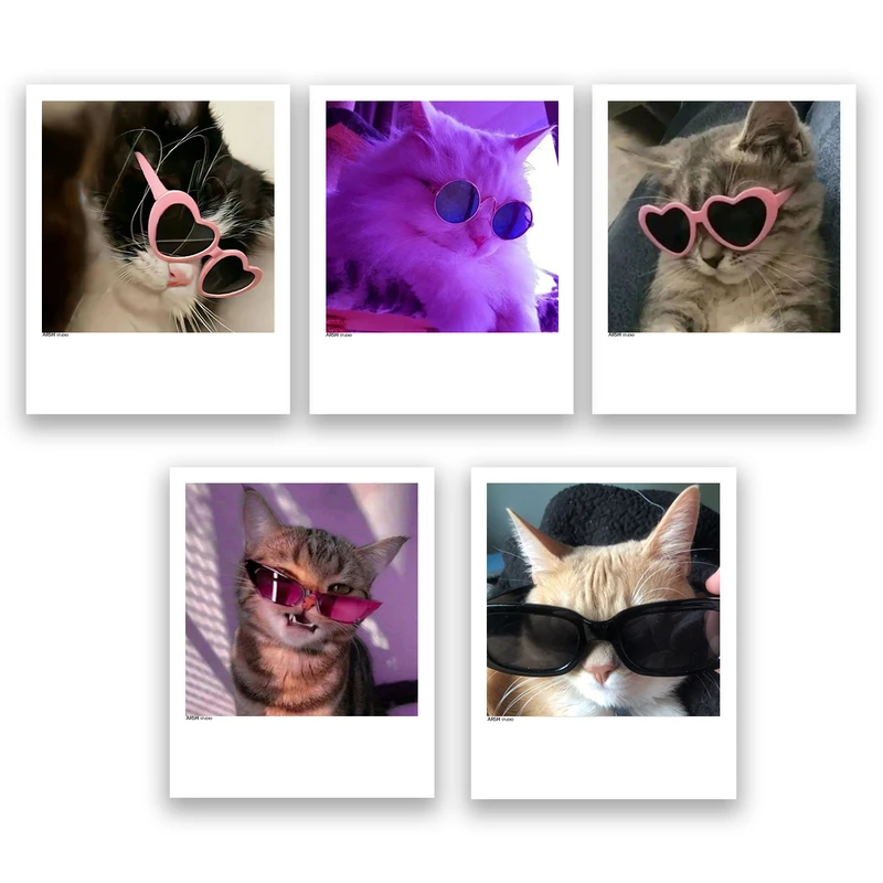 آویز تزیینی عرش مدل فانتزی گربه بامزه کد Asa299 مجموعه پنچ عددی