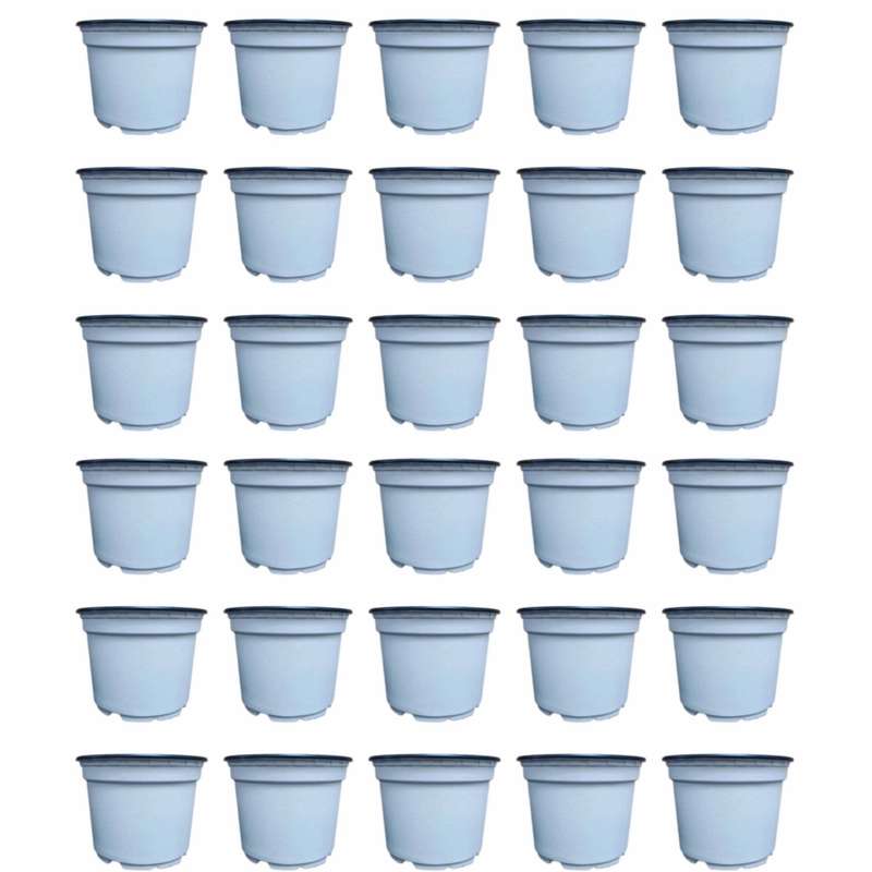 گلدان مدل ژله ای 10cm بسته 30 عددی