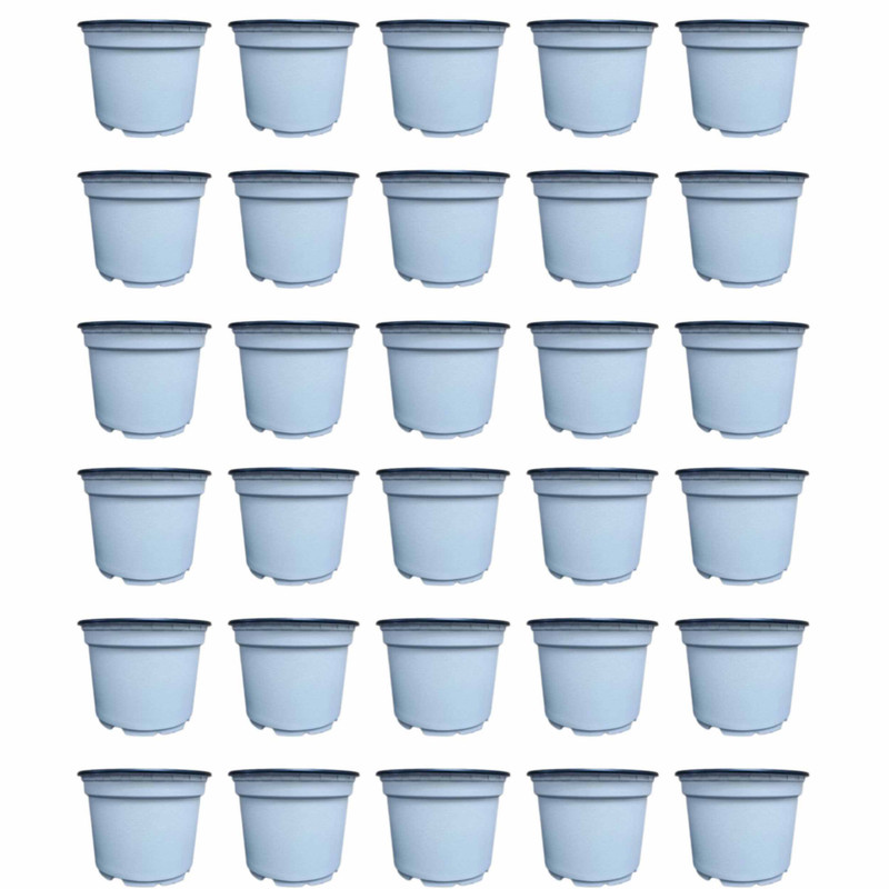 گلدان مدل ژله ای 10cm بسته 30 عددی