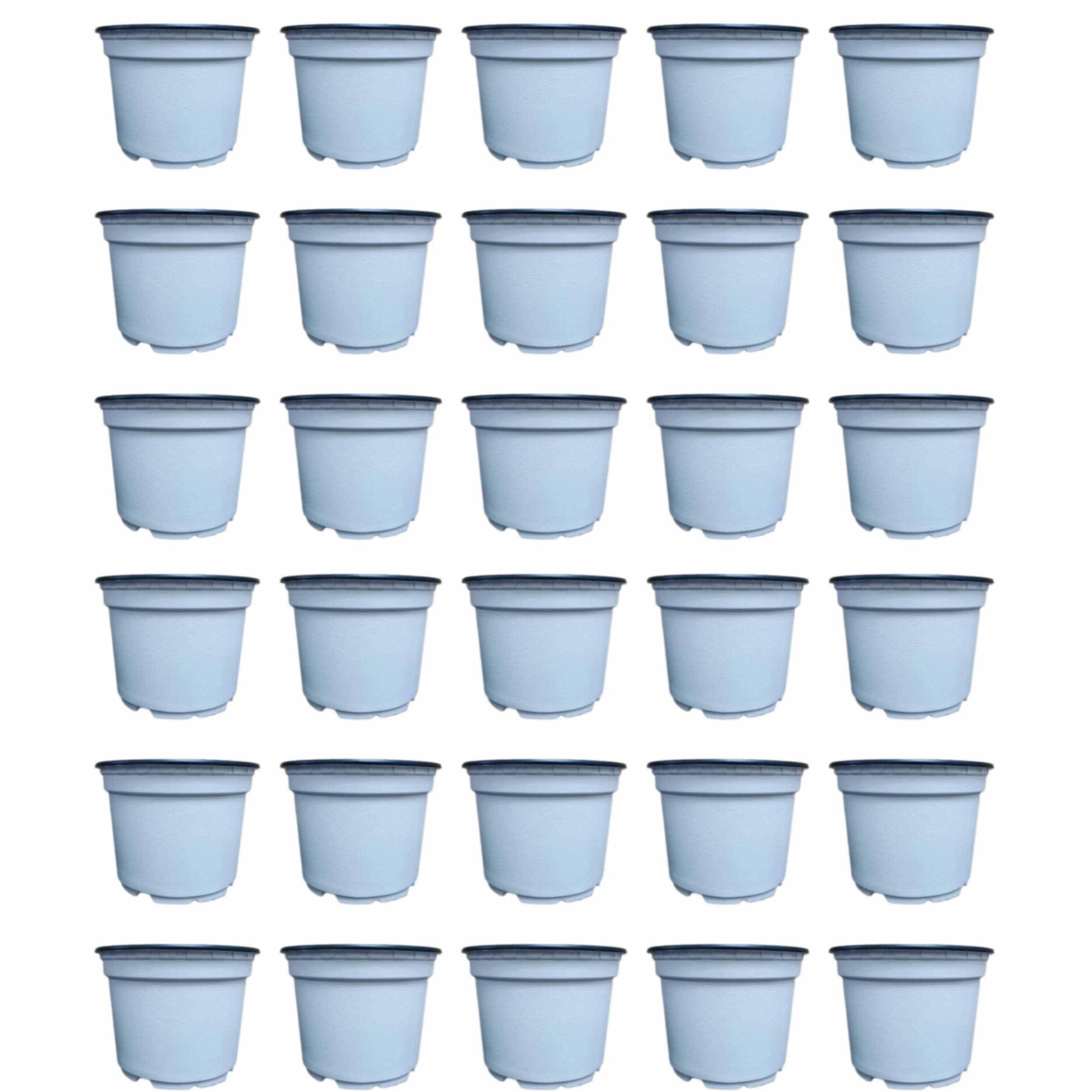 گلدان مدل ژله ای 10cm بسته 30 عددی گلدان مدل ژله ای 10cm بسته 30 عددی