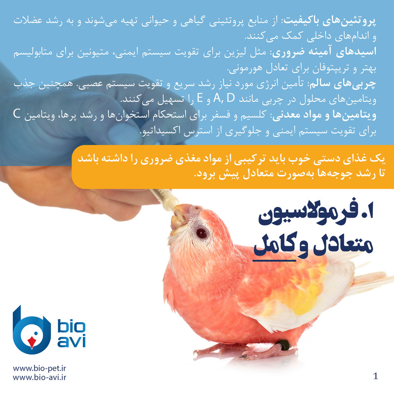 غذای کمکی طوطی سانان بایو اوی مدل HR19 وزن 500 گرم