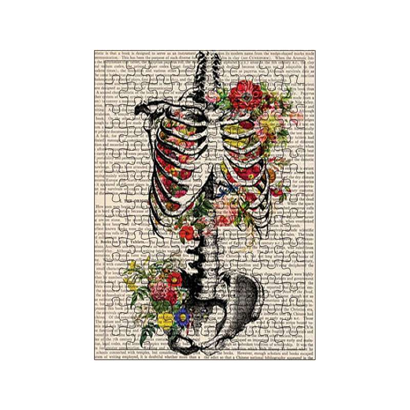 پازل 117 تکه مدل اسکلت کد 483