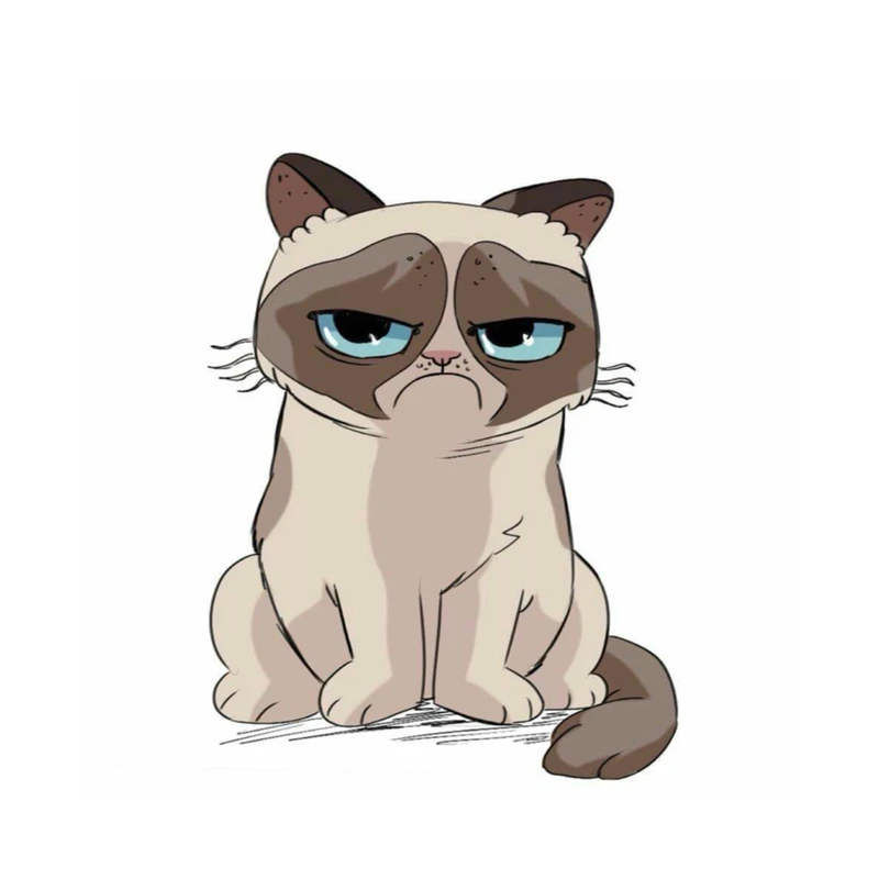 استیکر پارچه و لباس پاد آفرین مدل گربه بسته 3 عددی