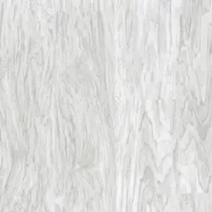 پارکت مدل 6002