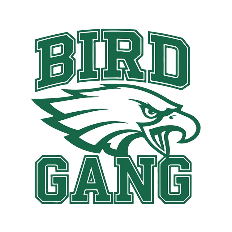 استیکر پارچه و لباس پاد آفرین مدل ورزشی طرح عقاب کد S3438