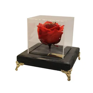 گل رز جاودان مدل 700