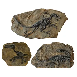 دیوارکوب مدل فسیل دایناسور مجموعه 3 عددی