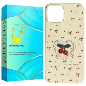 کاور قاب گارد مدل RIPA مناسب برای گوشی موبایل اپل iPhone 11