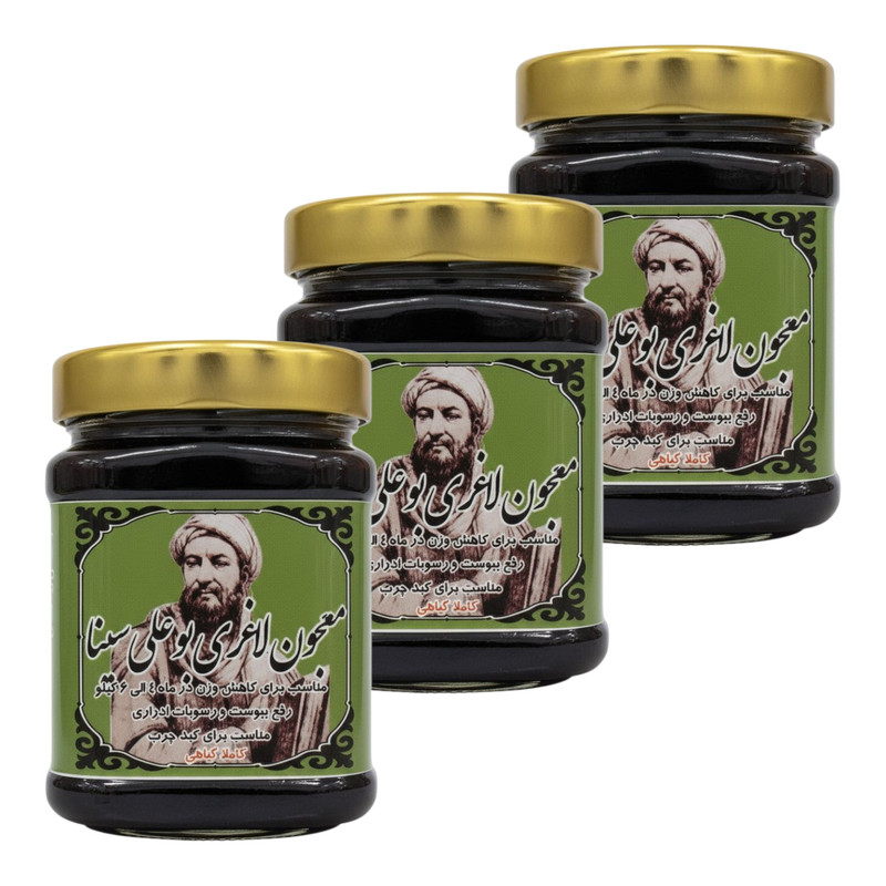 معجون لاغری بوعلی سینا - 500 گرم بسته سه عددی