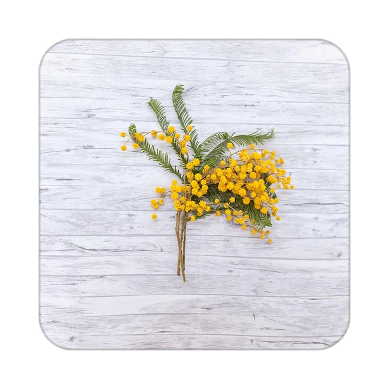 زیر لیوانی کاکتی طرح گل مدل mp17322