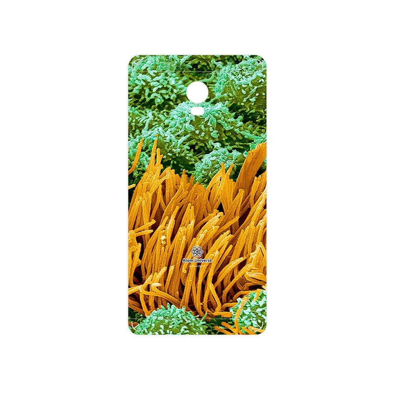 برچسب پوششی ماهوت مدل Atom Universe 6 مناسب برای گوشی موبایل لنوو Vibe P1