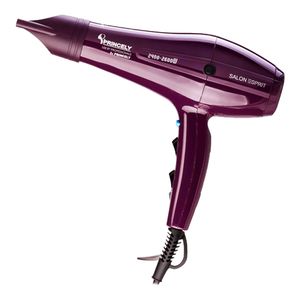 سشوار حرفه ای پرنسلی مدل PR250AT