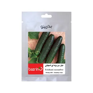 بذر خیار سبز بوته ای اصفهانی بذرینو کد BZNO-248