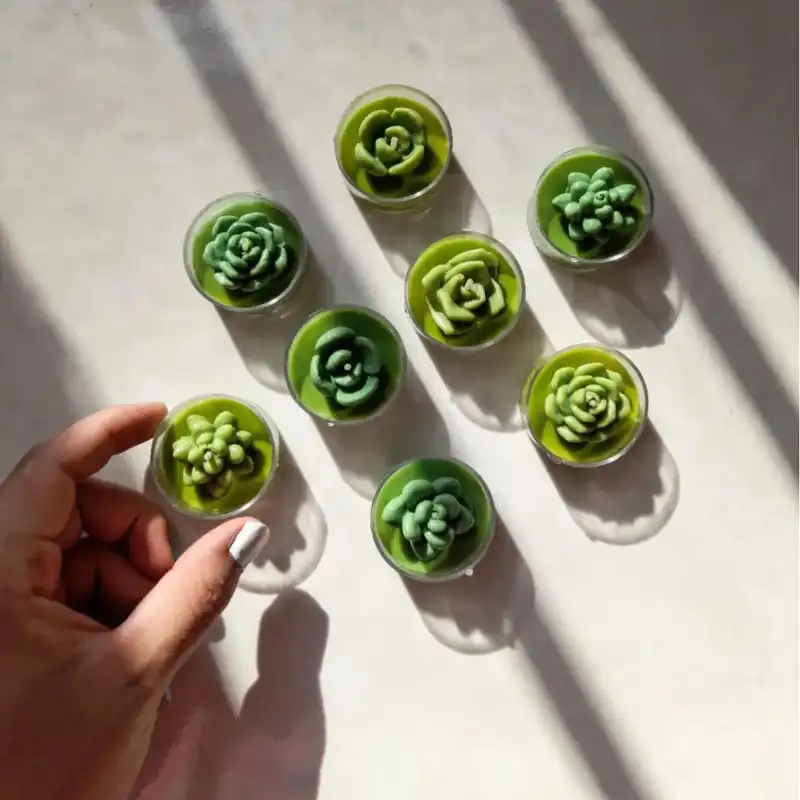 قالب شمع مدل کاکتوس مینیاتوری 5 تایی