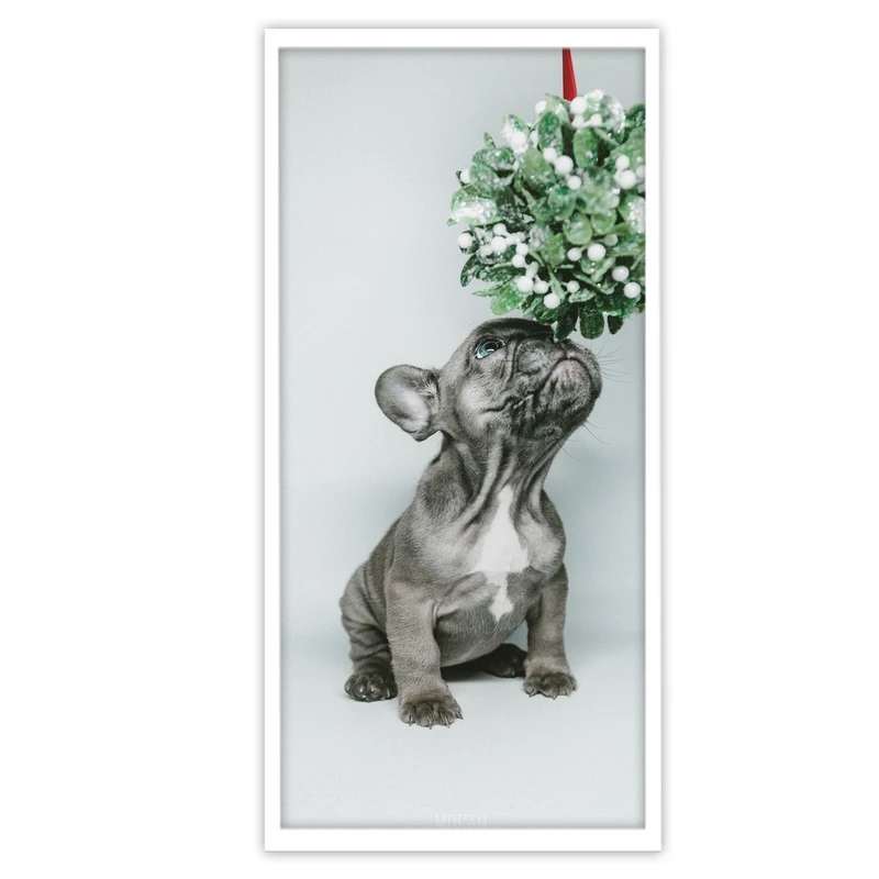 تابلو بکلیت طرح حیات وحش سگ پاکوتاه مدل W-S3159