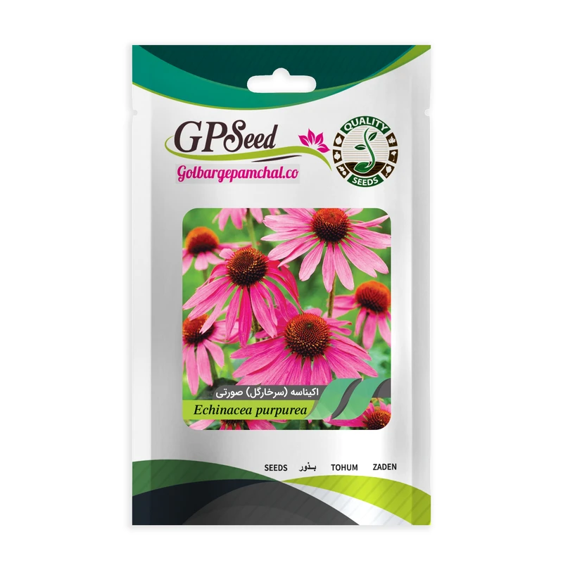 بذر گل اکیناسه پامتوسط صورتی گلبرگ پامچال کد GPF-023