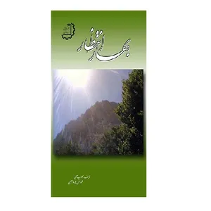 کتاب بهار انتظار اثر مهتاب سلیمی  و فیروز معینی نشر دیبای دانش