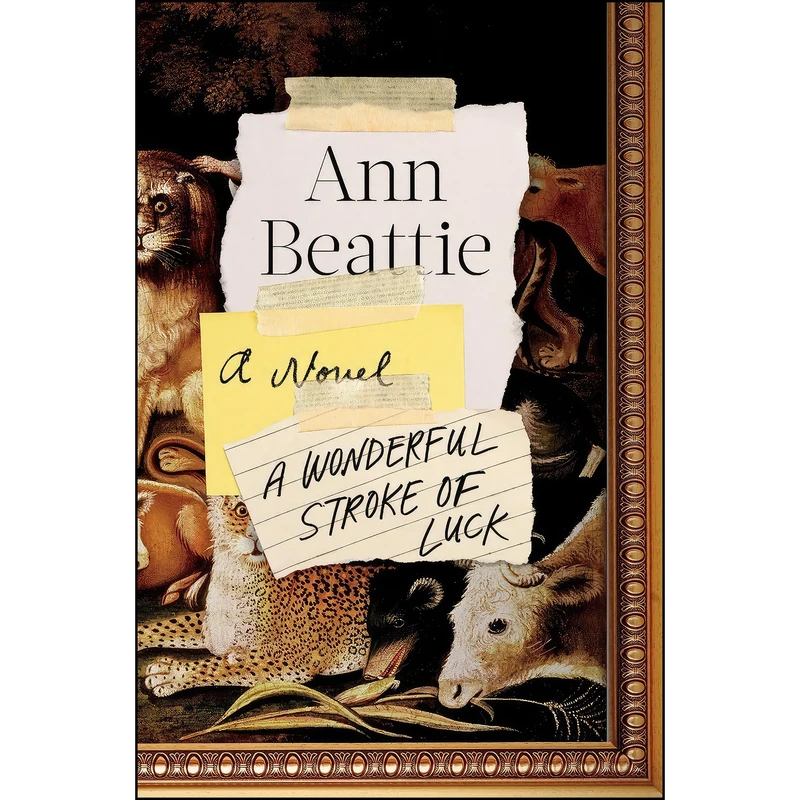 کتاب A Wonderful Stroke of Luck اثر Ann Beattie انتشارات Viking