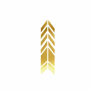 برچسب بدنه خودرو رادیانس طرح Sp Goldکد B29