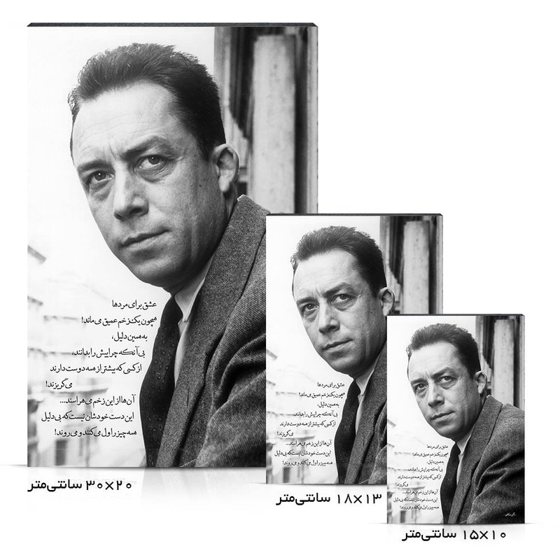 تابلو شاسی مدل آلبر کامو کد 4G350