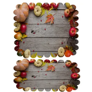  ست رومیزی 2 تکه کد 6349