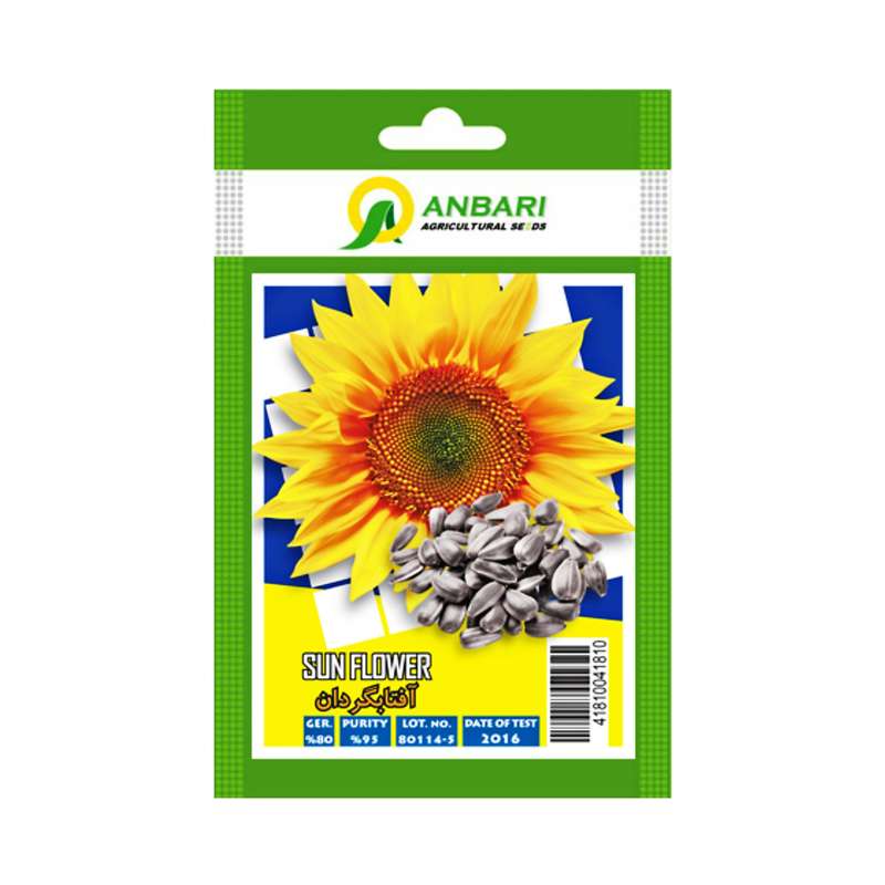 بذر آفتابگردان عنبری کد BZA-041