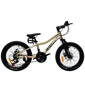 دوچرخه کوهستان اینتنز مدل CD400 کد f11  سایز طوقه 20 اینچ