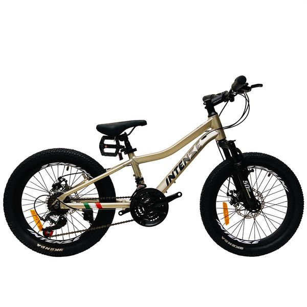 دوچرخه کوهستان اینتنز مدل CD400 کد f11  سایز طوقه 20 اینچ