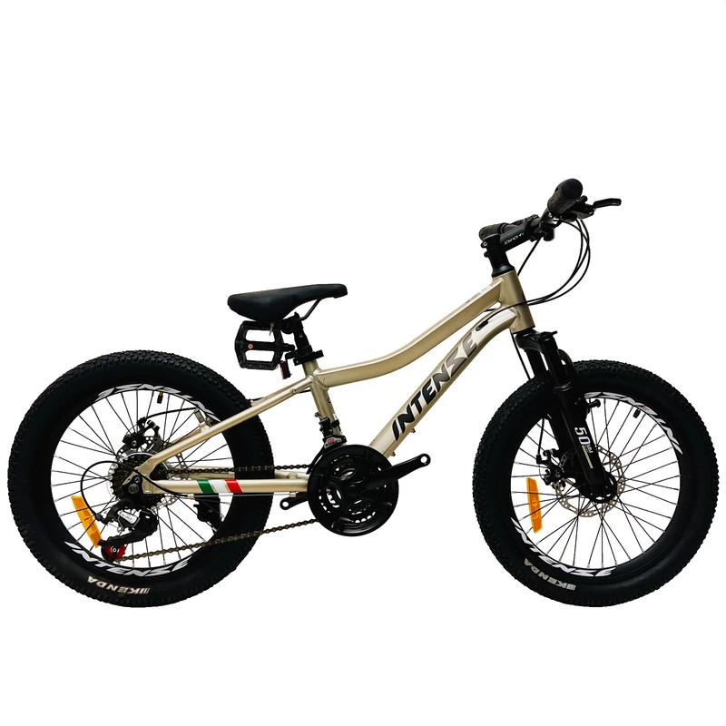 دوچرخه کوهستان اینتنز مدل CD400 کد f11  سایز طوقه 20 اینچ