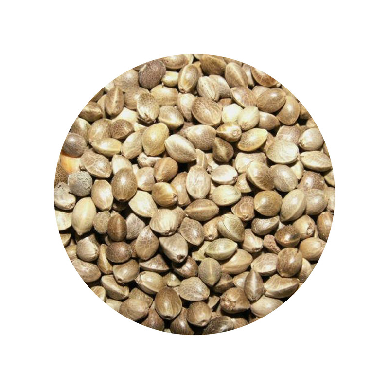 شاهدانه با طعم نمک دستچین کالا - 400 گرم
