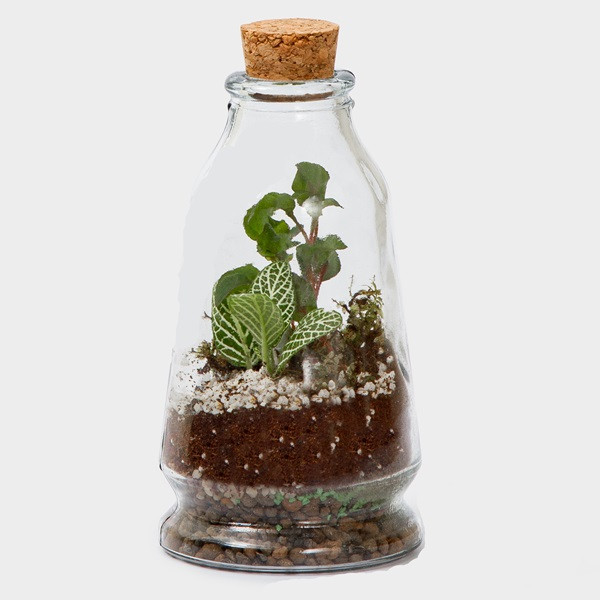 تراریوم شهرزاد مدل g-tr-sol-122-1