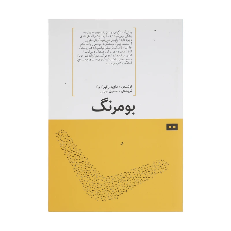 کتاب بومرنگ اثر داوید زافیر انتشارات هیرمند