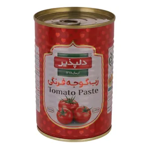 رب گوجه فرنگی دلپذیر - 400 گرم 