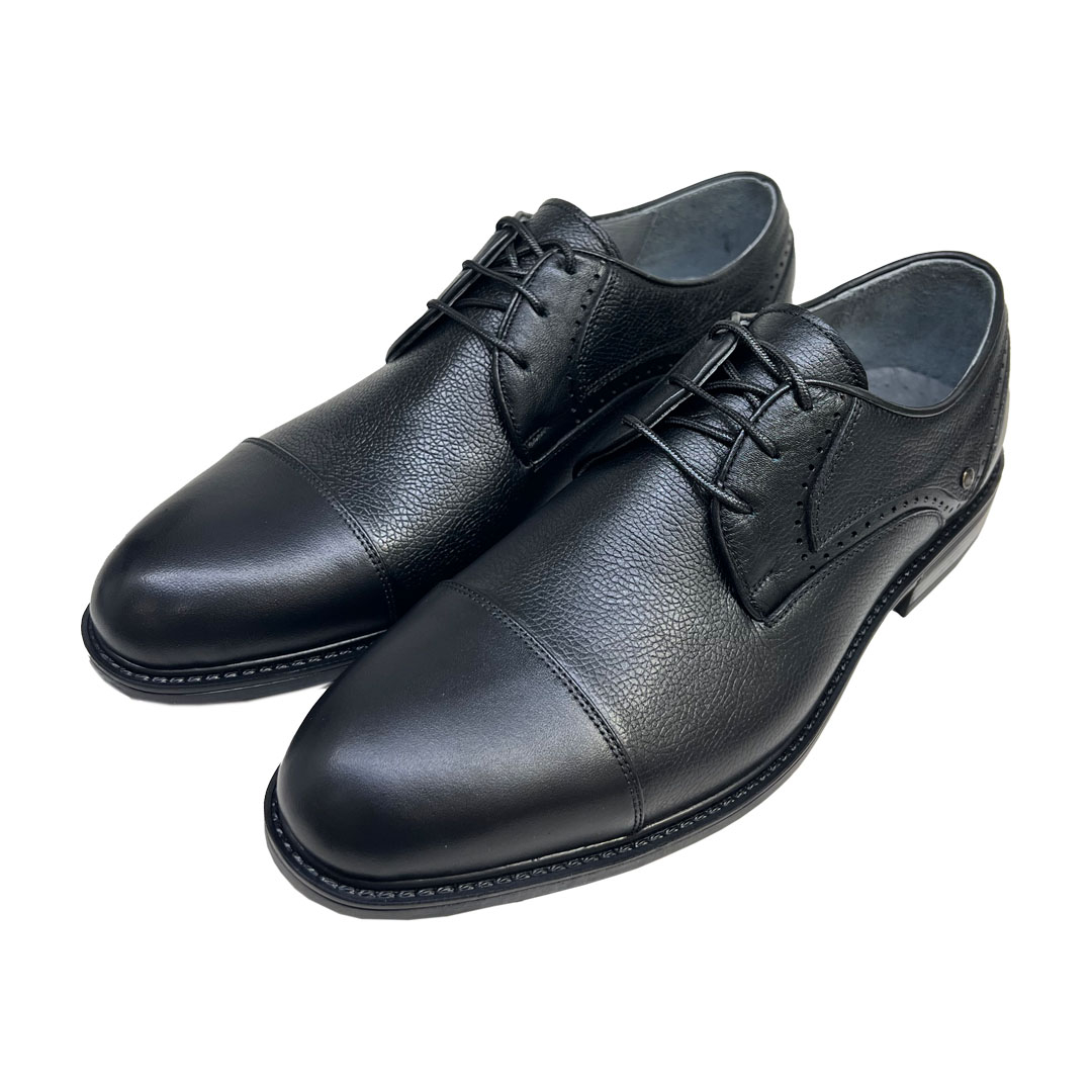 کفش مردانه سرزمین چرم کد 17844