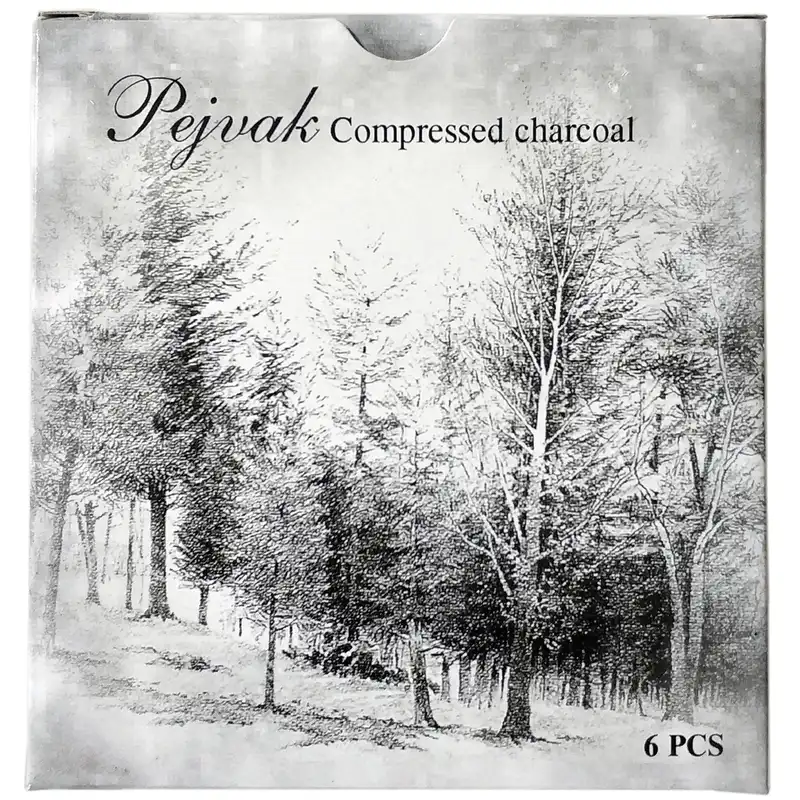 زغال طراحی پژواک کد 82496 بسته 6 عددی