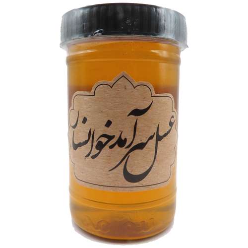 عسل طبیعی چند گیاه سرآمد - 900 گرم