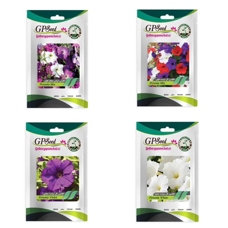 عکس شماره 2 : بذر گل اطلسی معطر و اطلسی رنگی گلدانی گلبرگ پامچال کد g-p-gp-04 مجموعه 4 عددی