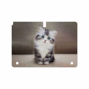MAHOOT Cat-2 Cover Sticker for Samsung Galaxy Note 10.1 2012 N8010