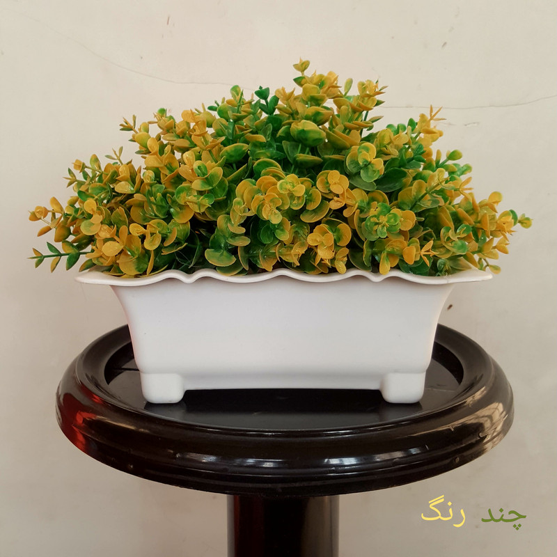 گلدان به همراه گل مصنوعی مدل شمشاد کد 2312 گلدان به همراه گل مصنوعی مدل شمشاد کد 2312