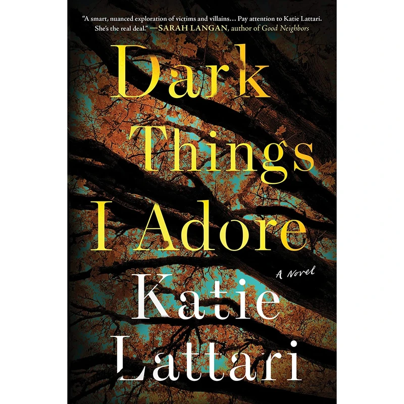 کتاب Dark Things I Adore: A Novel- 2022 اثر Katie Lattari انتشارات Sourcebooks Landmark
