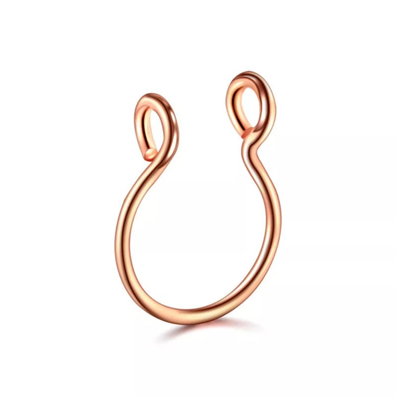 پیرسینگ بینی زنانه پایتخت مدل PS645