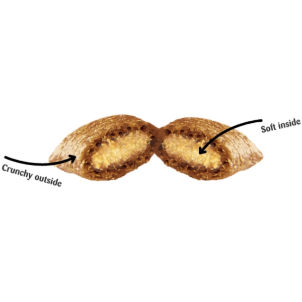 غذای تشویقی گربه دریمیز مدل اردک وزن 60 گرم