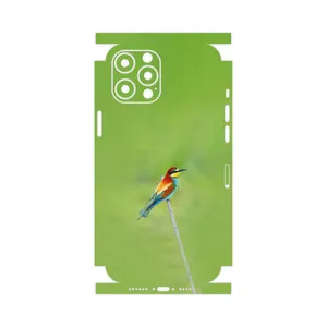 MAHOOT European bee-eater-FullSkin Cover Sticker for Apple iPhone 12 Pro Max