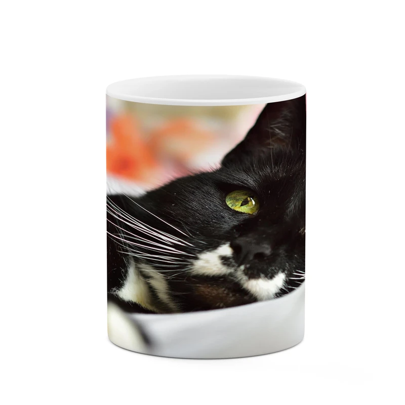 ماگ کاکتی مدل گربه کد mgh17980