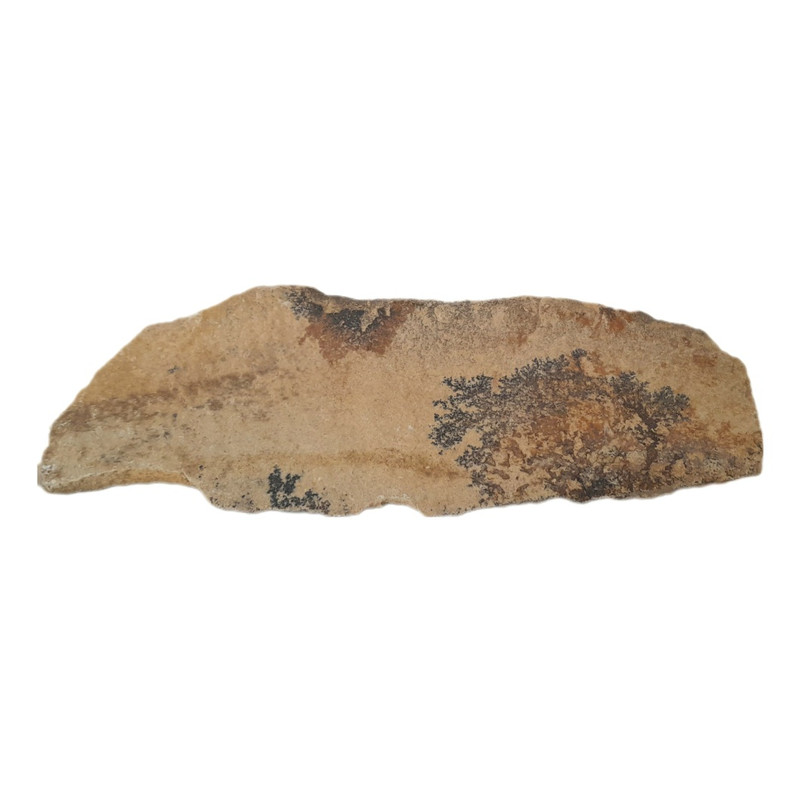 سنگ راف شجر مدل فسیلی کد 132